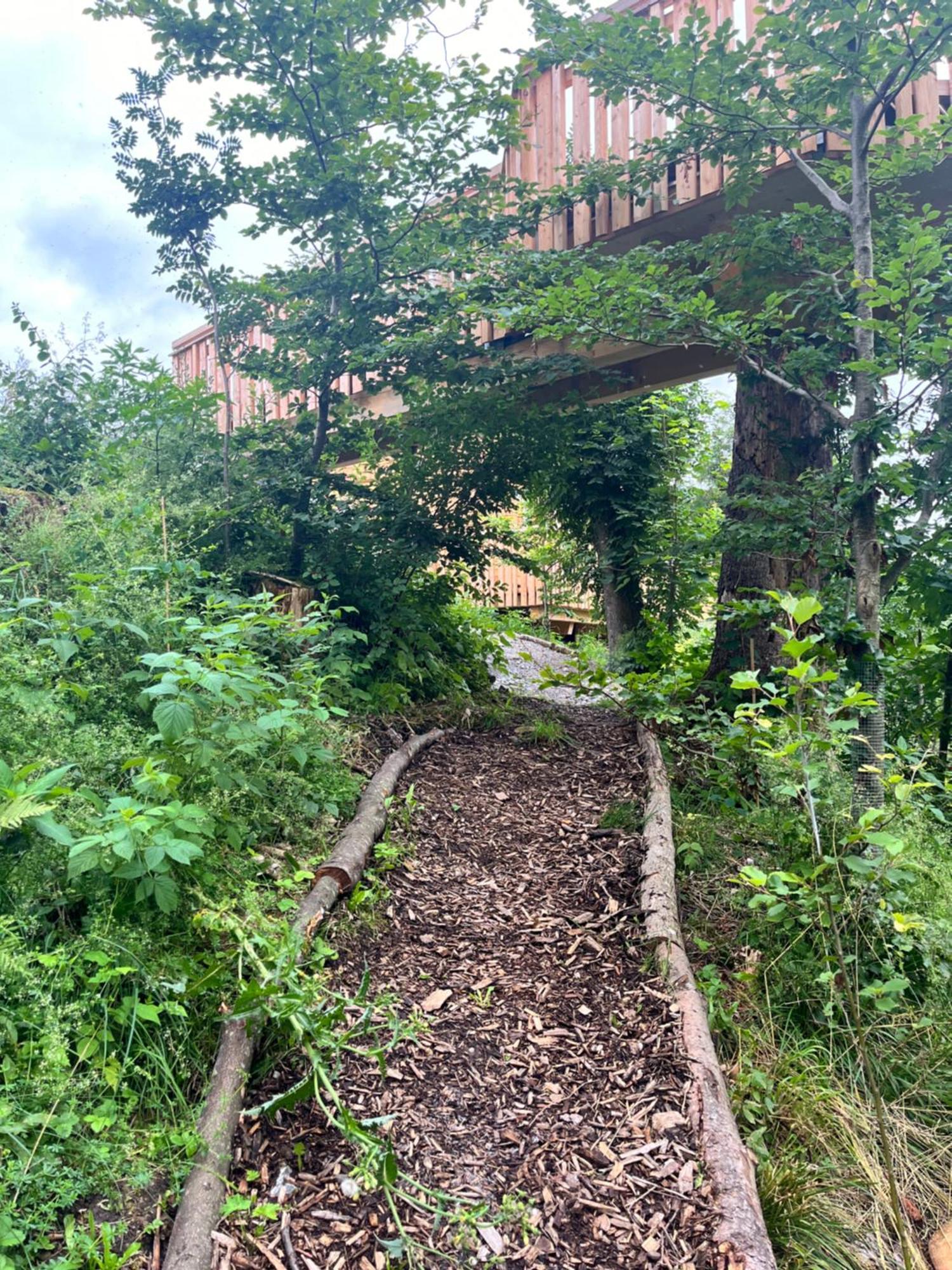 Wald Ist Zukunft Hotel Bernbeuren Exterior foto