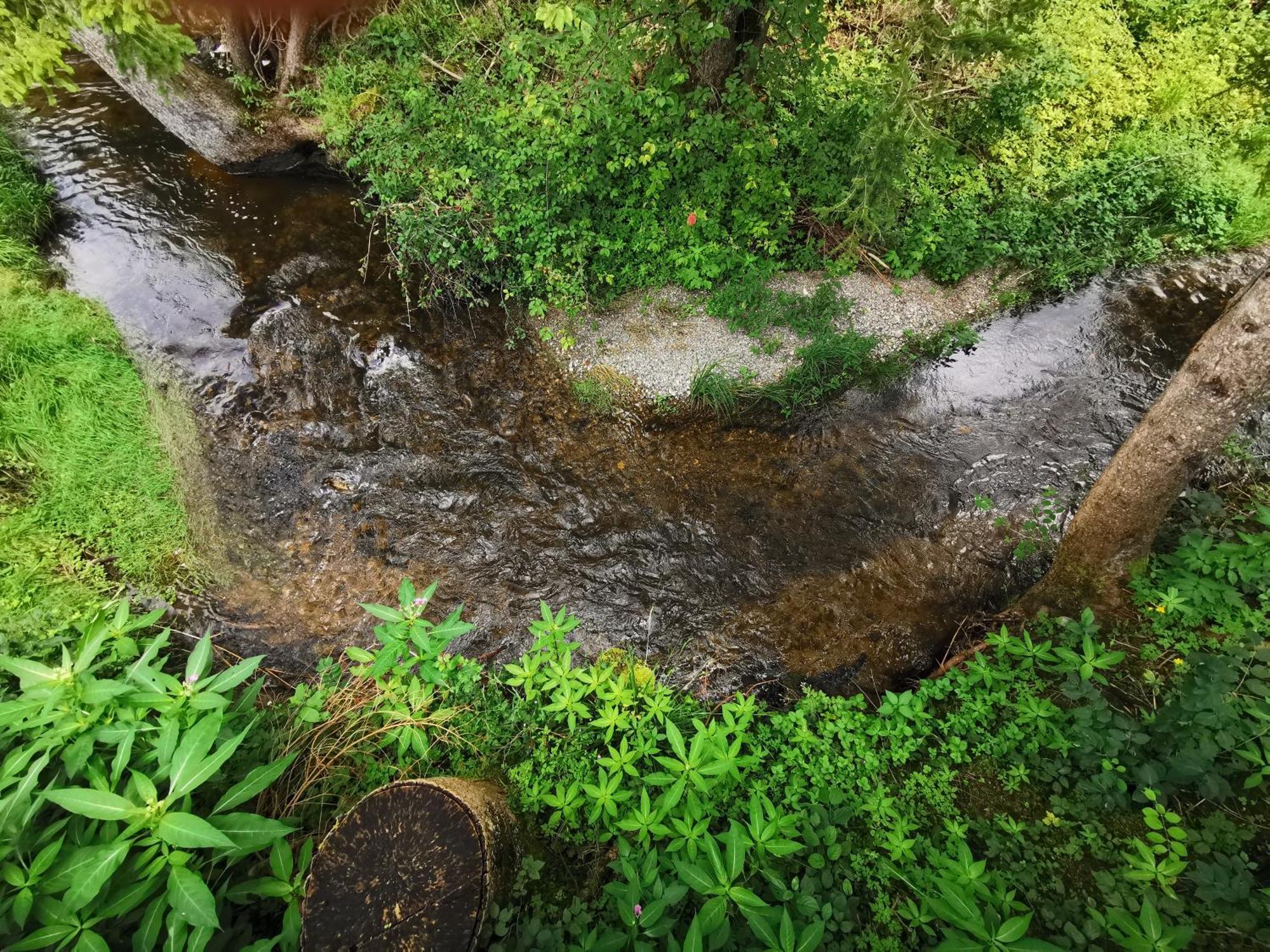Wald Ist Zukunft Hotel Bernbeuren Exterior foto