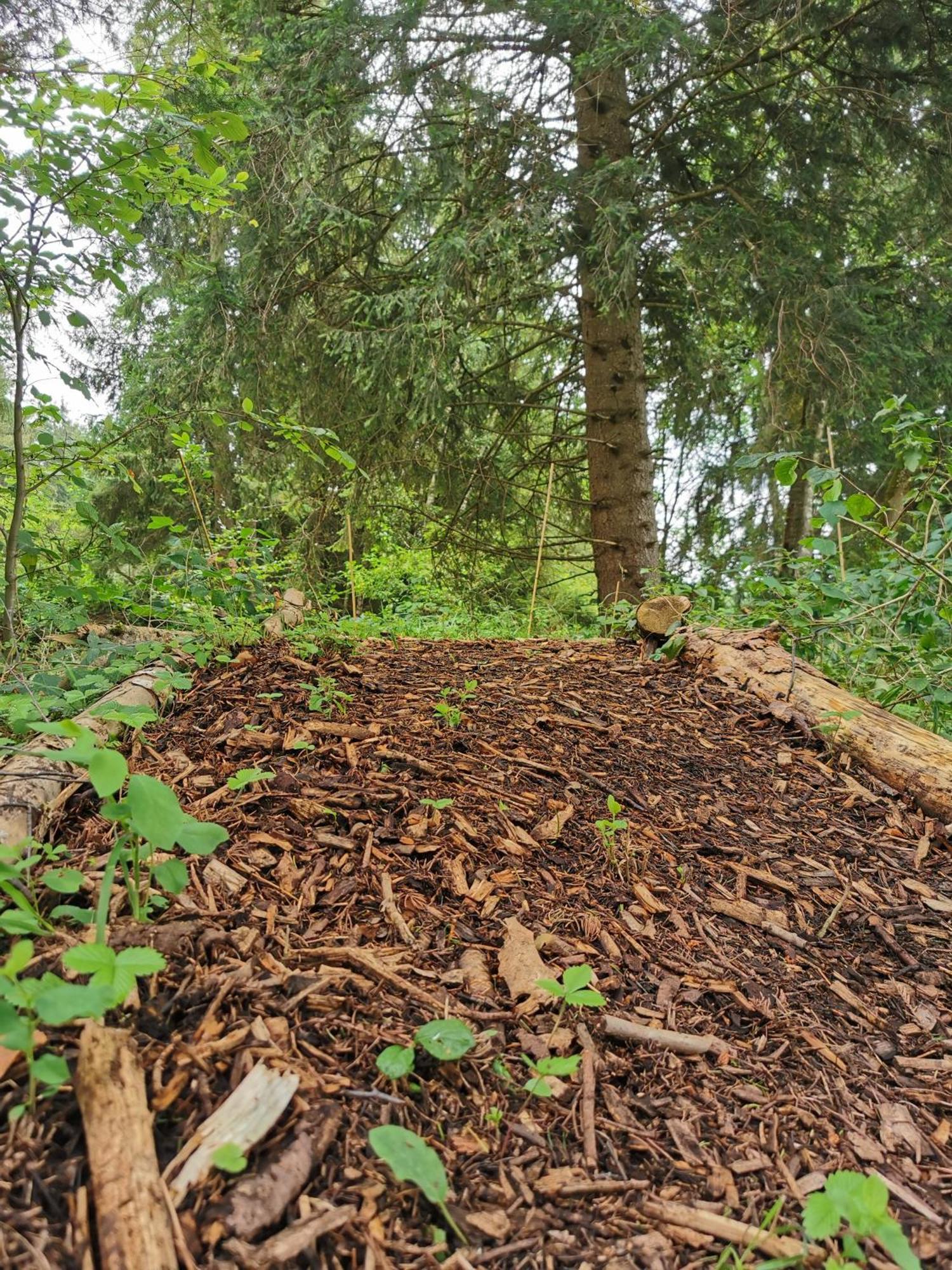 Wald Ist Zukunft Hotel Bernbeuren Exterior foto
