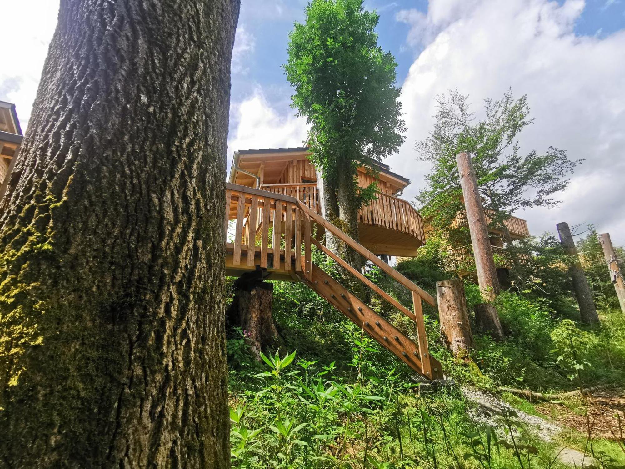 Wald Ist Zukunft Hotel Bernbeuren Exterior foto
