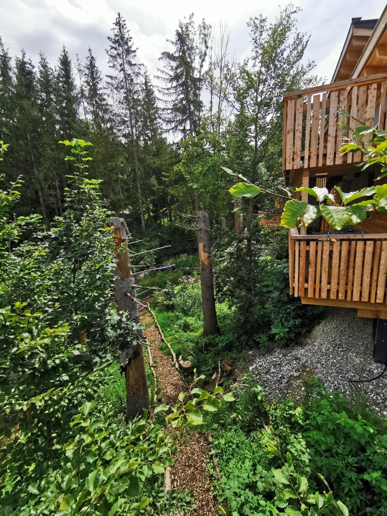 Wald Ist Zukunft Hotel Bernbeuren Exterior foto