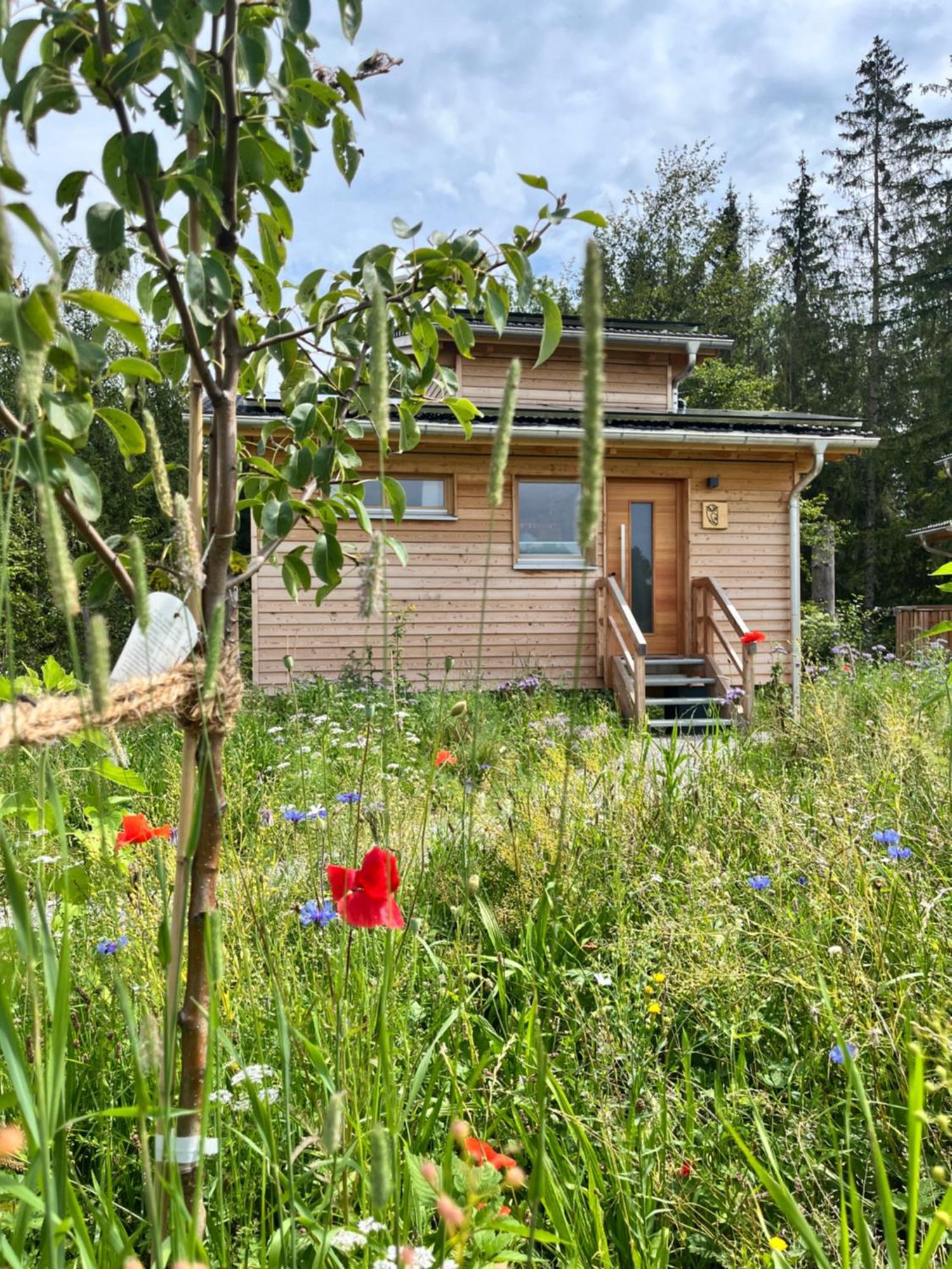 Wald Ist Zukunft Hotel Bernbeuren Exterior foto