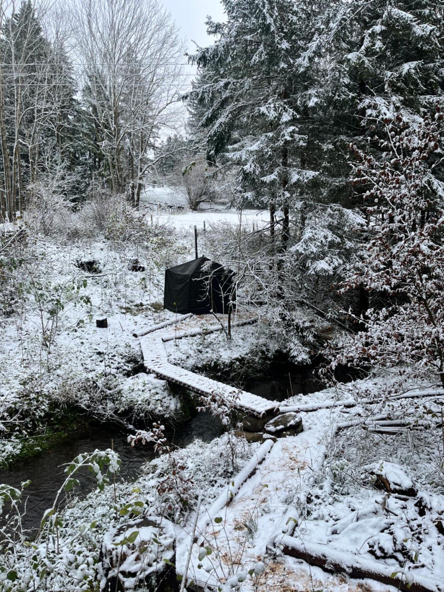 Wald Ist Zukunft Hotel Bernbeuren Exterior foto