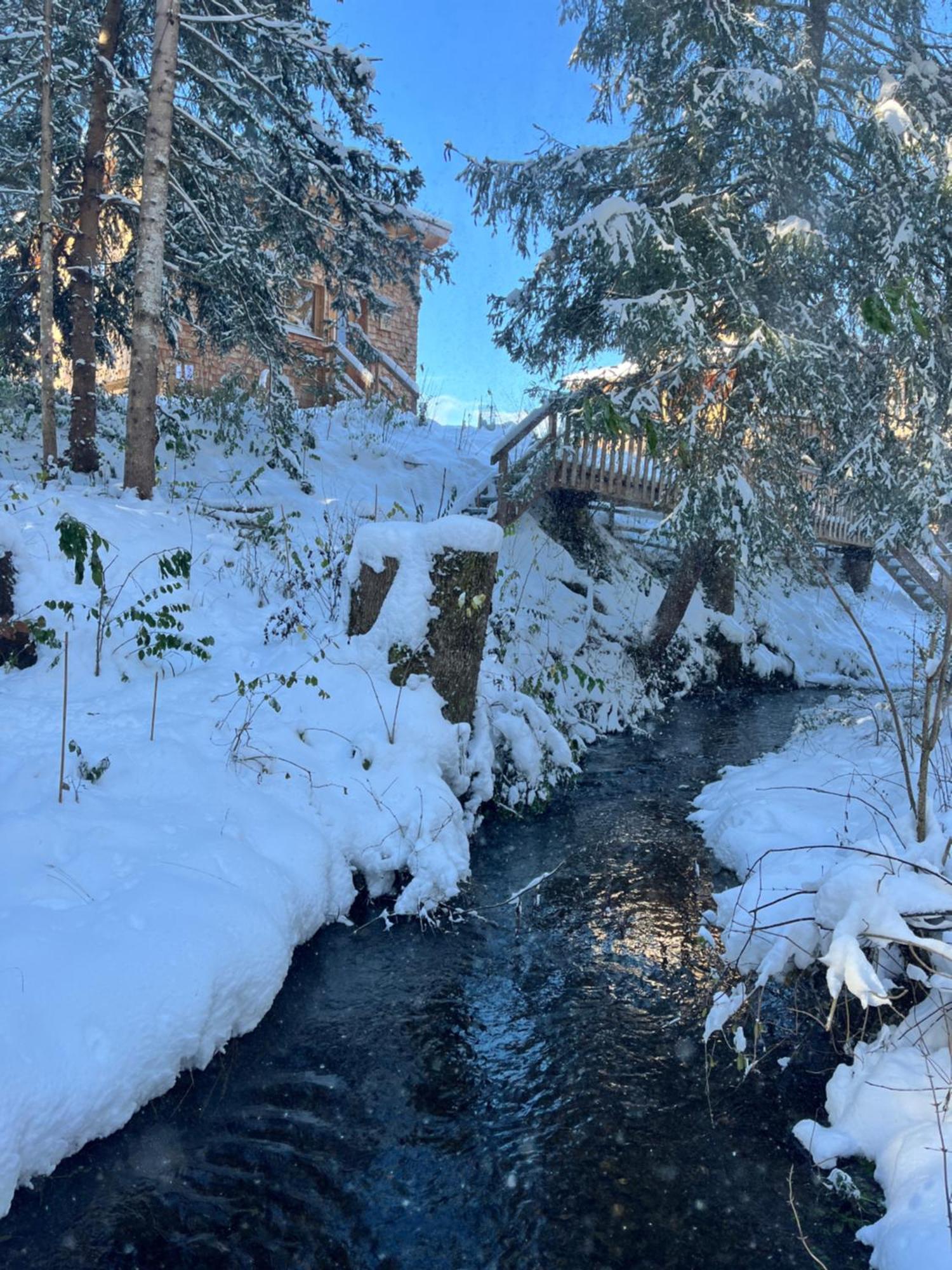Wald Ist Zukunft Hotel Bernbeuren Exterior foto